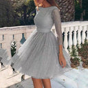 Chic Tulle Dress with Sheer Sleeves