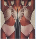 Stylish Women’s Cut-out Bikini Design