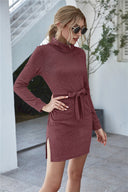 Chic High Collar Sweat Dress with Waist Belt