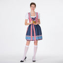 Traditional Check Pattern Dirndl Dress with Apron