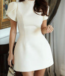 Chic Puff Sleeve Women’s Dress