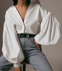Chic Lantern Sleeve Blouse in Trendy Design