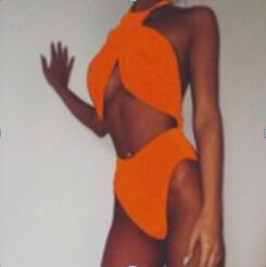 Stylish Women’s Cut-out Bikini Design