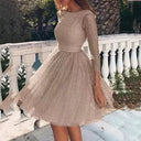 Chic Tulle Dress with Sheer Sleeves