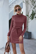 Chic High Collar Sweat Dress with Waist Belt