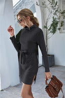 Chic High Collar Sweat Dress with Waist Belt