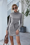 Chic High Collar Sweat Dress with Waist Belt