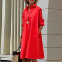 Chic Long Sleeve Women's Dress