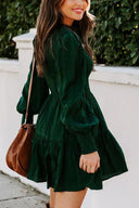 Chic Long Sleeve Smocked Dress