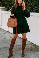 Chic Long Sleeve Smocked Dress
