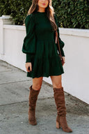 Chic Long Sleeve Smocked Dress