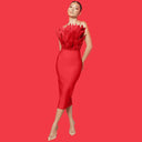 Chic Feather Tube Dress for Sophisticated Style