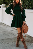 Chic Long Sleeve Smocked Dress
