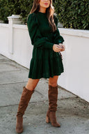 Chic Long Sleeve Smocked Dress