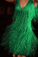 Iridescent Fringe Dance Dress