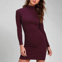 Chic Turtleneck Dress for All Seasons