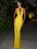 Chic Sleeveless Maxi Evening Gown