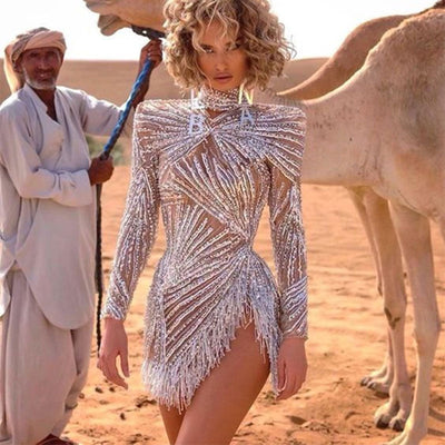Stunning Sequin Dress with Sheer Accents and Fringes