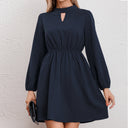 Chic Women's Dress with Stylish Collar