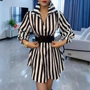 Striped Women's Shirt Dress with Wide Collar