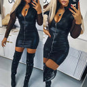 Women’s Chic Dress with Sheer Sleeves and Zipper Detail