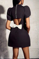 Chic Puff Sleeve Women’s Dress