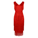 Chic Fringe Dress for Women