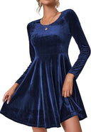 Chic Velvety A-Line Dress for Women
