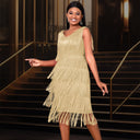 Chic Fringe Dress for Women