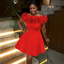 Off-Shoulder Women's Floral Collar Dress