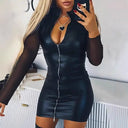 Women’s Chic Dress with Sheer Sleeves and Zipper Detail