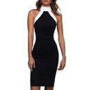 Chic Halterneck Sheath Dress with Contrast Collar for Women