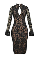 Chic High Neck Lace Dress with Statement Sleeves