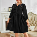 Chic Women's Dress with Ruffle Accents