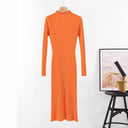Chic Women's Ribbed Knit Dress with High Neck