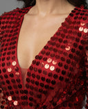 Stunning Evening Dress with Sequins and Sheer Sleeves