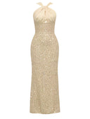 Stunning Sequin Evening Dress with Chic Back Cutout