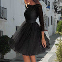 Chic Tulle Dress with Sheer Sleeves
