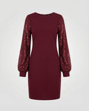 Glittery Women's Dress for Every Occasion