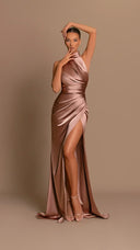 Chic Women's Long Stand-Up Collar Dress