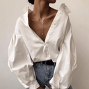 Chic Lantern Sleeve Blouse in Trendy Design
