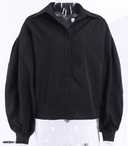 Chic Lantern Sleeve Blouse in Trendy Design